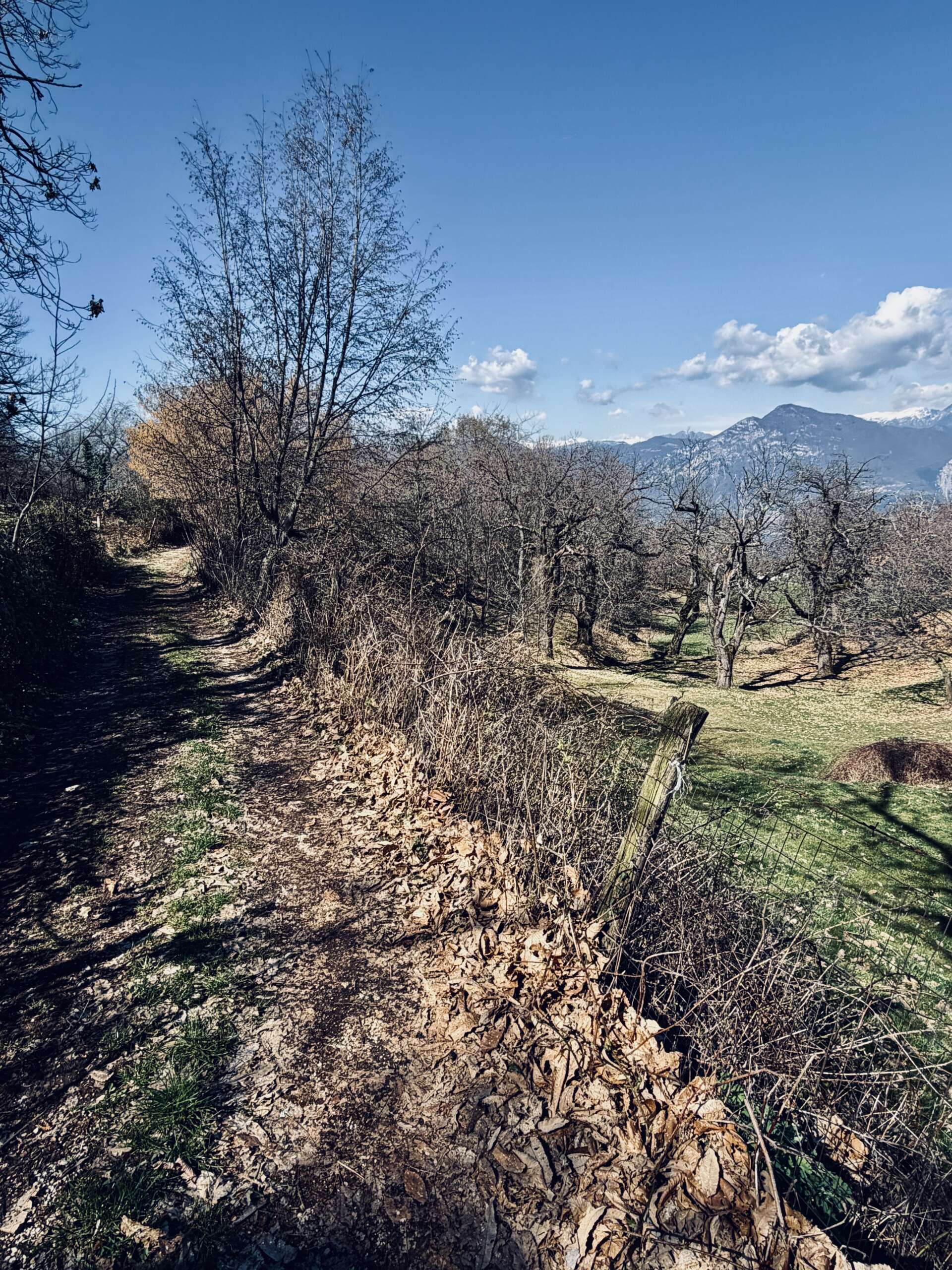 GPX Daten Traumtour Gardasee – Bild 10